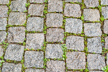 Image showing cobble stone pavers 