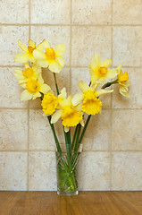 Image showing  bouquet of daffodils 