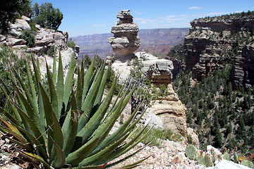 Image showing Grand Canyon