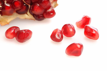 Image showing One simple pomegranate