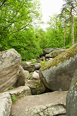 Image showing scenic boulders 