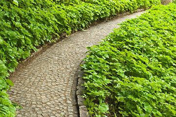 Image showing picturesque alley