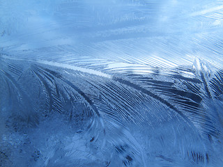 Image showing frosty natural pattern