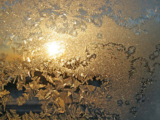 Image showing frost and sun