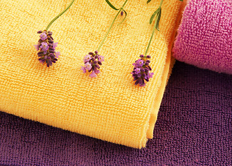 Image showing Colorful towels