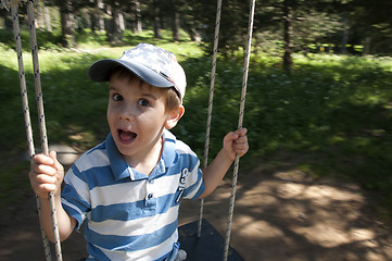 Image showing Boy on swing in forest