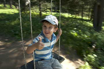 Image showing Boy on swing in forest