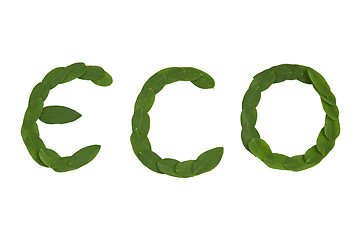 Image showing Eco text