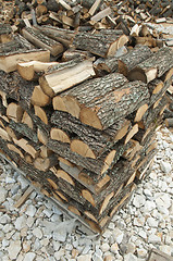 Image showing Stack of freshly cut trees 