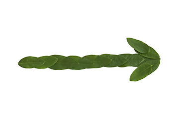 Image showing Natural leaf arrow. Leaf made.