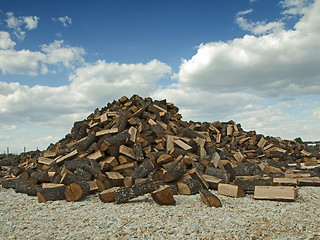 Image showing Stack of freshly cut trees 