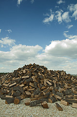 Image showing Stack of freshly cut trees 