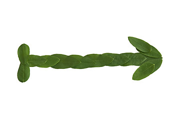 Image showing Natural leaf arrow. Leaf made.