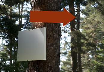 Image showing Arrow and sign on tree in forest.