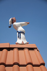 Image showing Sleepwalker walking on roof