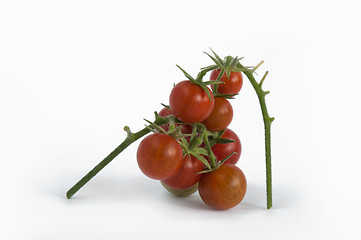 Image showing Cherry tomatoes with stem