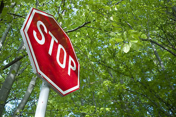 Image showing Stop in forest