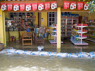 Image showing Monsoon season in Ayuttaya, Thailand 2011