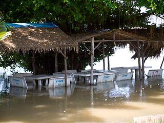 Image showing Monsoon season in Ayuttaya, Thailand 2011