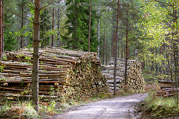 Image showing Logging Road