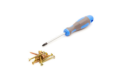 Image showing Screwdriver and yellow screws 