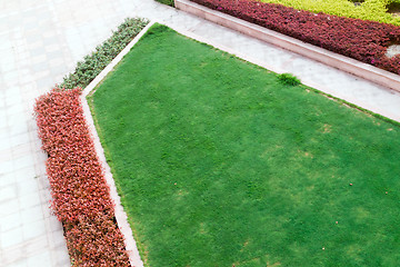 Image showing Garden