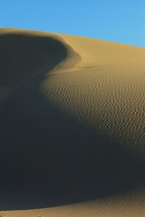 Image showing Desert detail