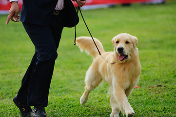 Image showing Master playing with his dog