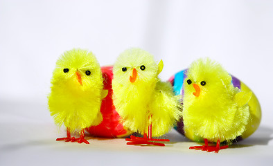 Image showing Three Easter Chicken