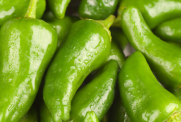 Image showing Padron peppers