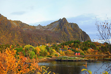 Image showing Boathouses