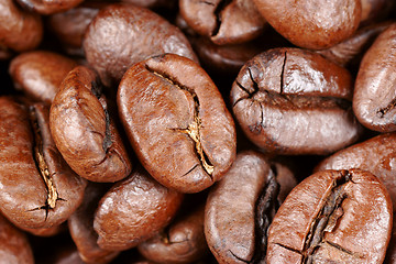 Image showing Coffee beans background