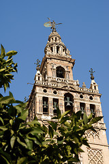 Image showing La Giralda Tower in Seville, Spain