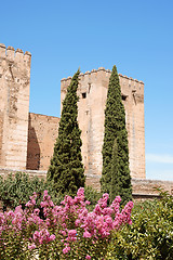 Image showing The Alcazaba in Granada