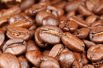 Image showing Coffee beans background