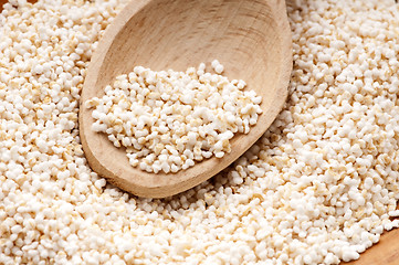 Image showing Amaranth popping, gluten-free, high protein grain cereal