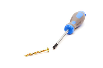 Image showing Screwdriver and yellow screw