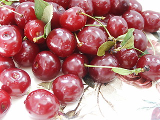 Image showing Cherry