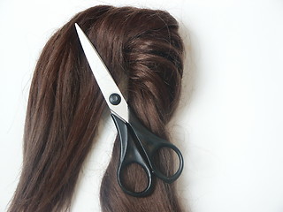 Image showing Hair and scissors