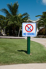 Image showing No diving sign