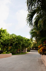 Image showing Resort pathway