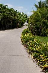 Image showing Resort pathway