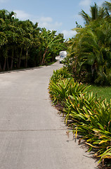 Image showing Resort pathway