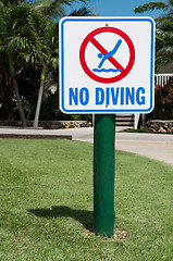 Image showing No diving sign