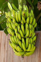 Image showing Head of bananas