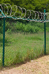 Image showing Razor wire