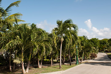 Image showing Resort pathway