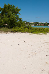 Image showing Beach