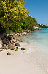 Image showing Beach