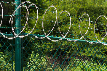 Image showing Razor wire